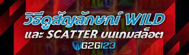 วิธีดูสัญลักษณ์ Wild และ Scatter บนเกมสล็อต