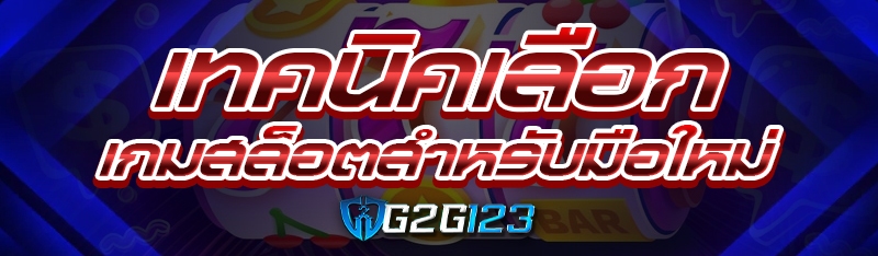เทคนิคเลือก เกมสล็อต สำหรับมือใหม่